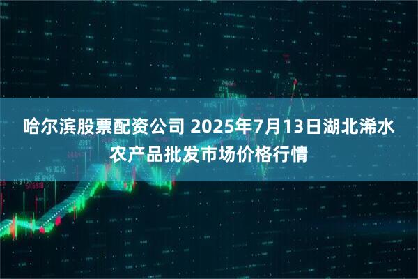 哈尔滨股票配资公司 2025年7月13日湖北浠水农产品批发市场价格行情