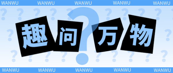 a股配资平台 脆肉鲩正在排队“打点滴”？打完才变脆的？